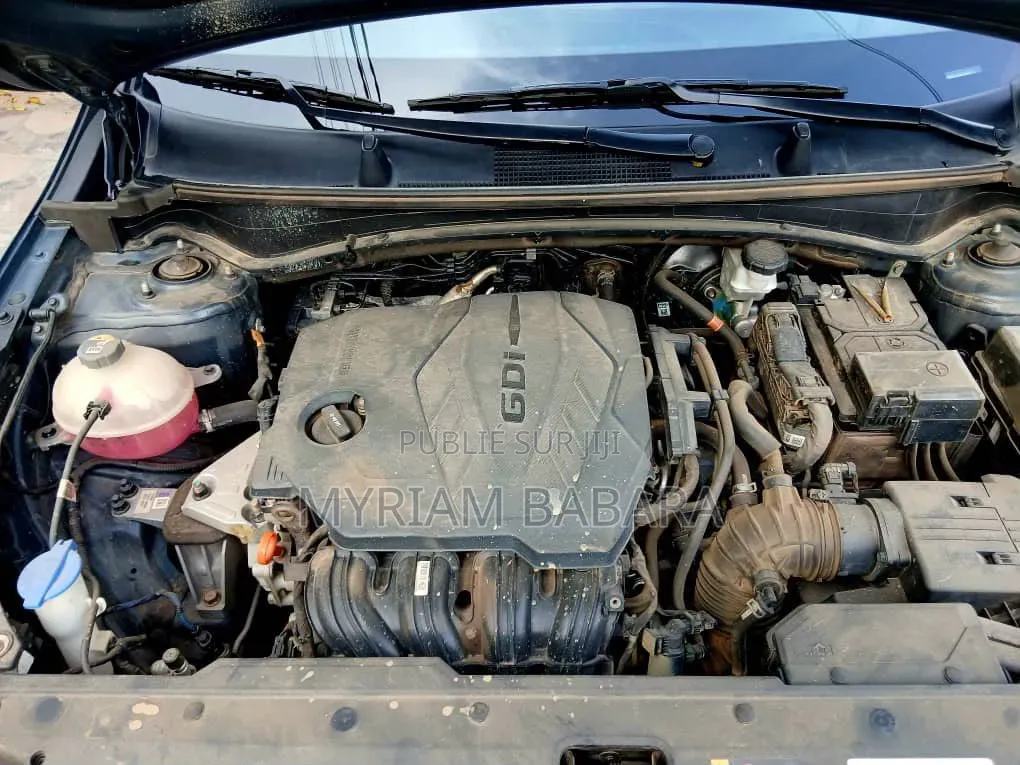 Kia Sportage 2024 Bleu