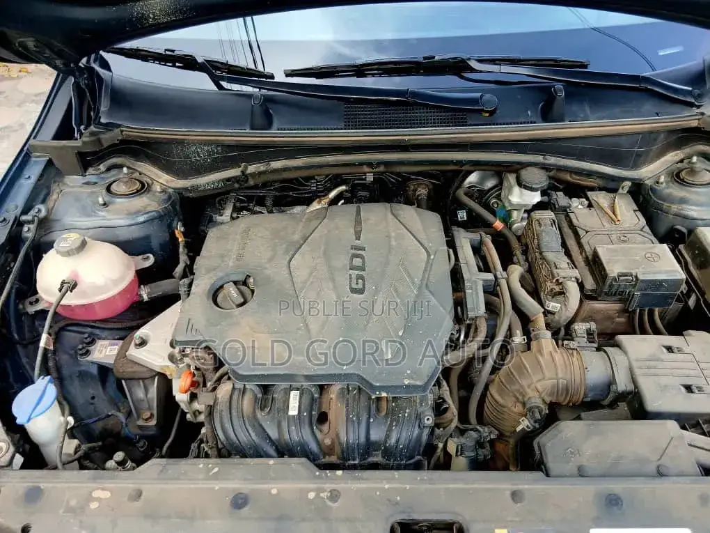 Kia Sportage 2024 Bleu
