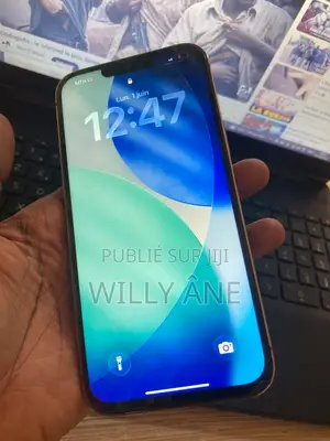 Nouveau Apple iPhone 13 Pro Max 128 GB Doré