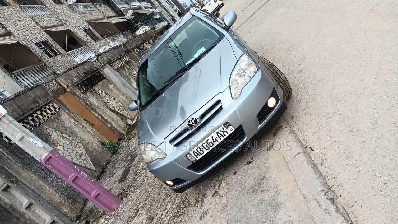 Toyota Corolla 2002 Gris