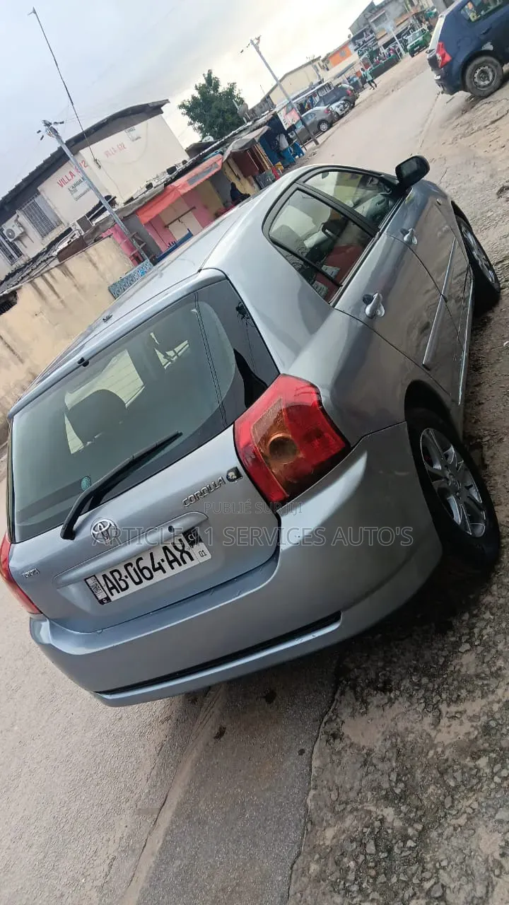 Toyota Corolla 2002 Gris