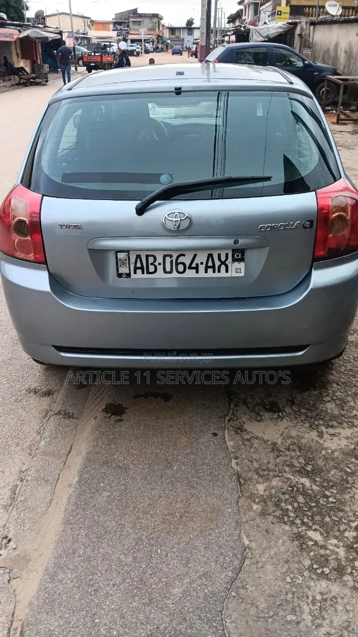 Toyota Corolla 2002 Gris