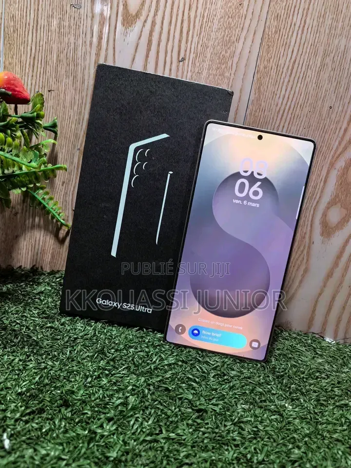 Nouveau Samsung Galaxy S25 Ultra 256 GB Autre