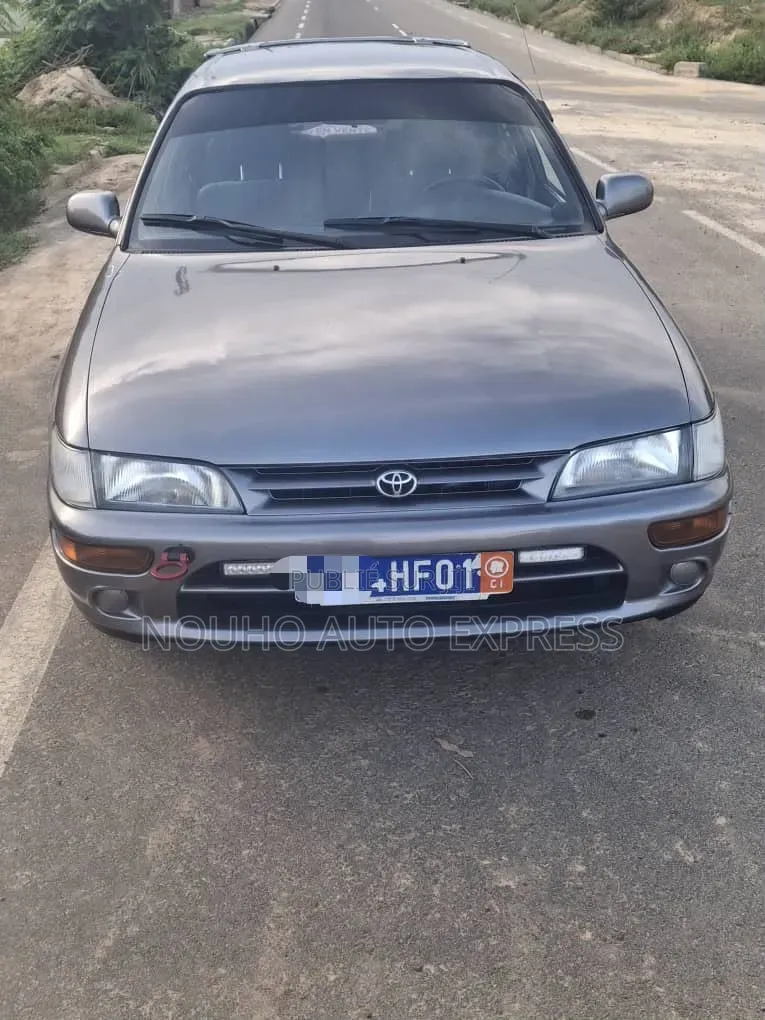 Toyota Corolla 2003 Gris