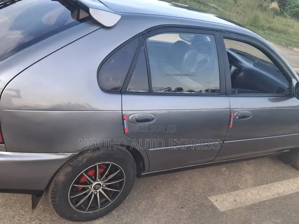Toyota Corolla 2003 Gris
