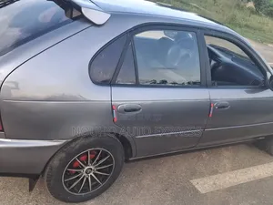 Toyota Corolla 2003 Gris