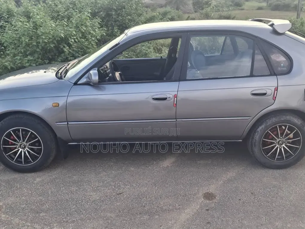 Toyota Corolla 2003 Gris