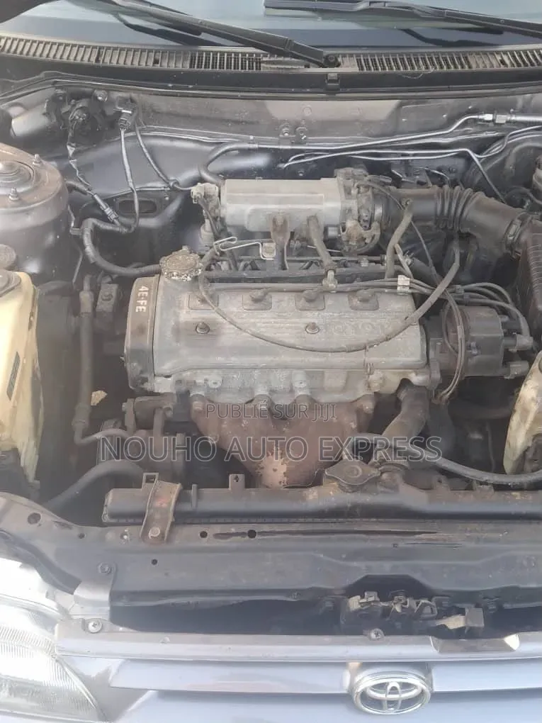Toyota Corolla 2003 Gris