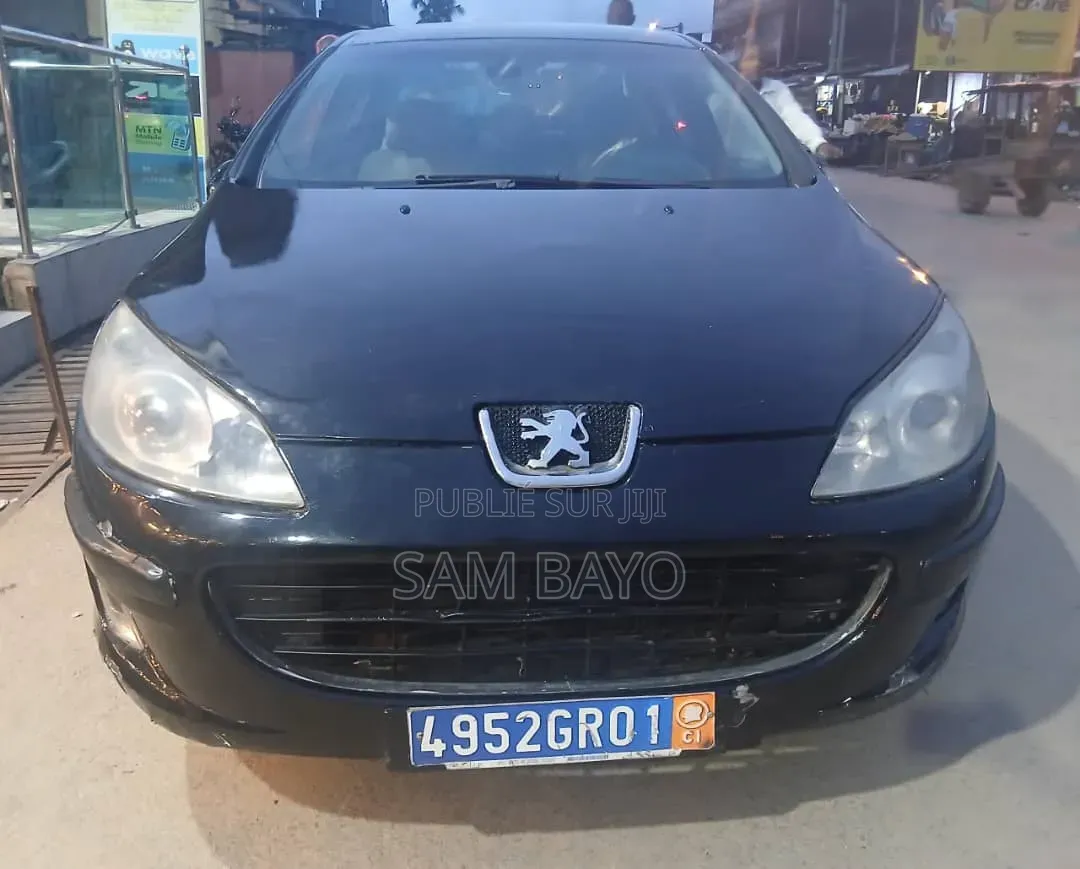 Peugeot 407 2009 Noir