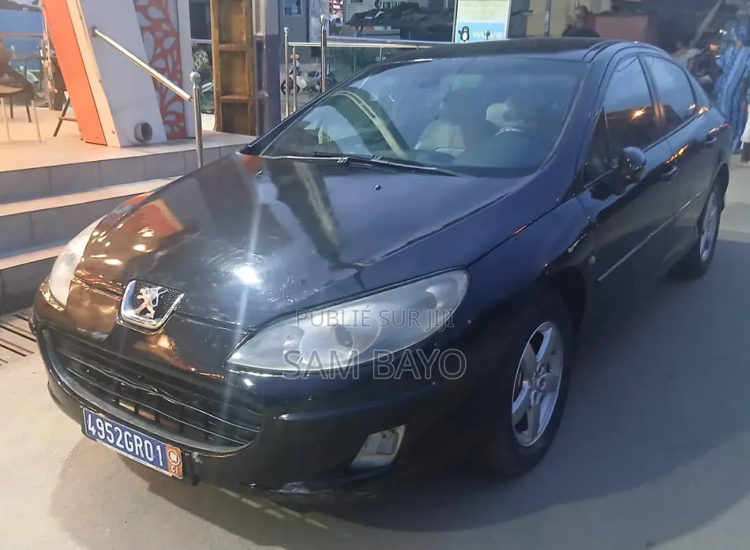 Peugeot 407 2009 Noir