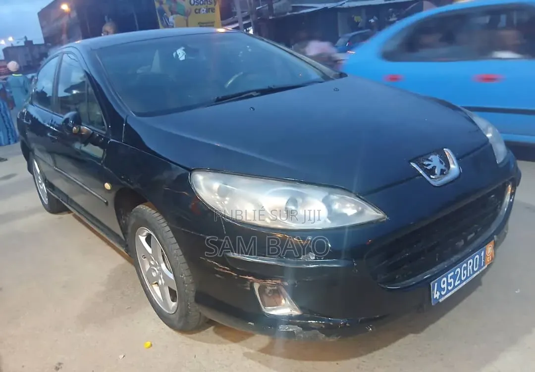 Peugeot 407 2009 Noir
