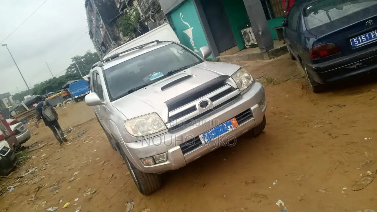 Toyota 4-Runner 2006 Gris