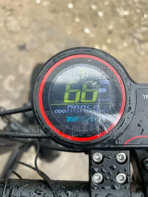 Vélo Électrique