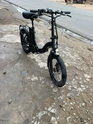 Vélo Électrique