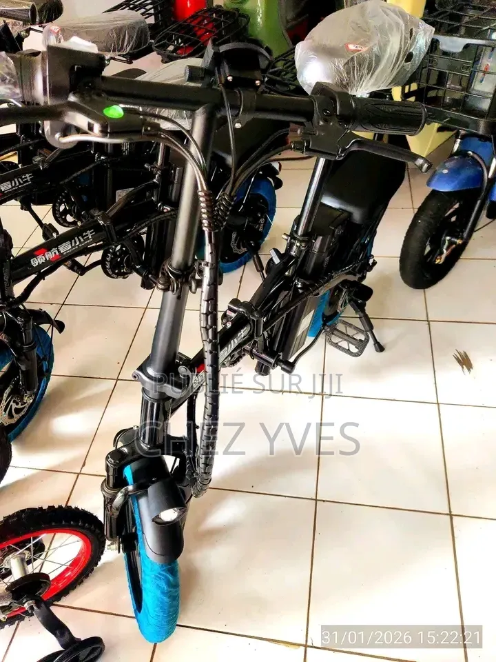 Vélo Électrique