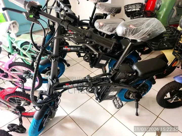 Vélo Électrique