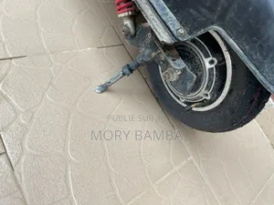 Trottinette Électrique