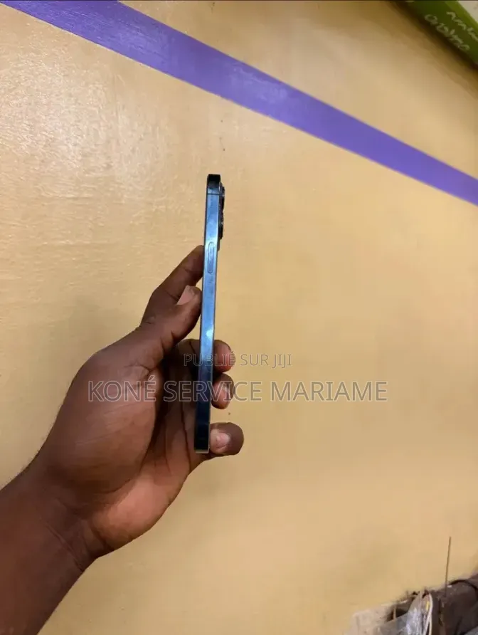 Nouveau Apple iPhone 12 Pro Max 256 GB Bleu