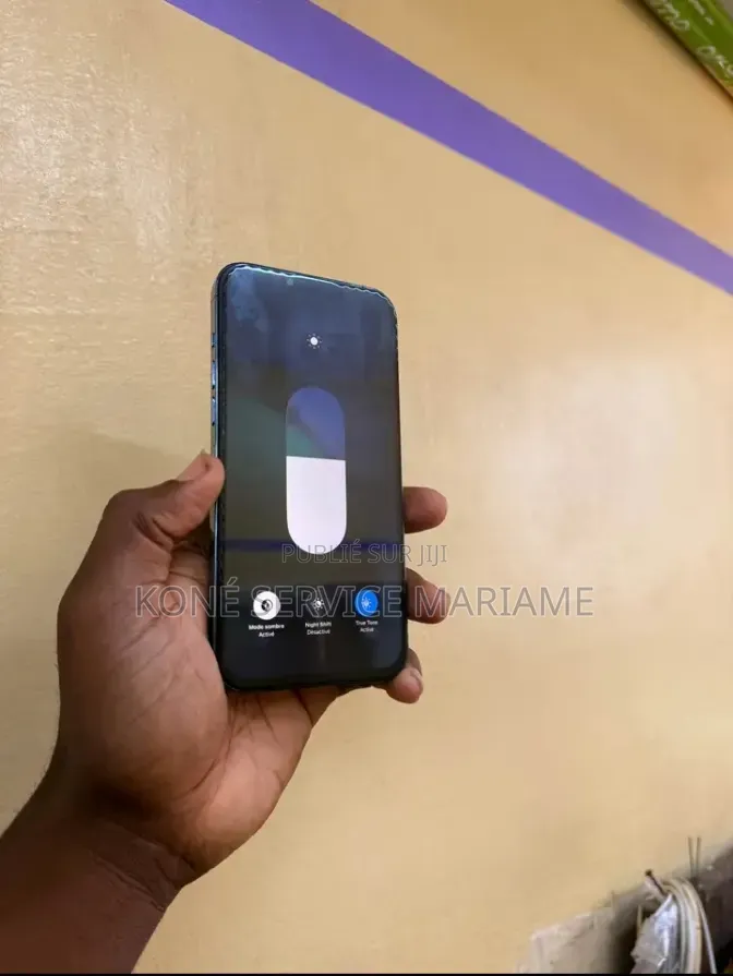 Nouveau Apple iPhone 12 Pro Max 256 GB Bleu
