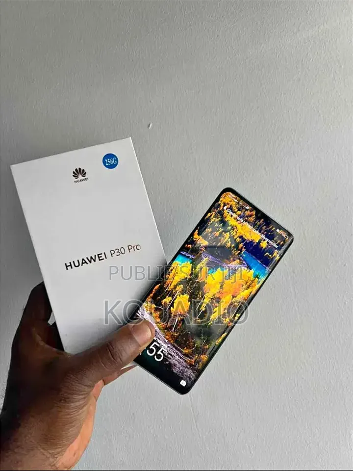 Nouveau Huawei P30 Pro 512 GB Noir