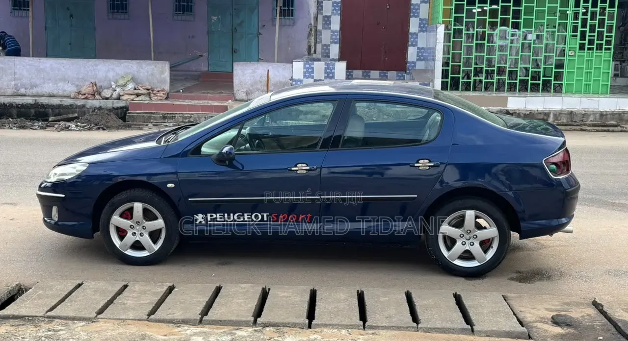 Peugeot 407 2002 Bleu