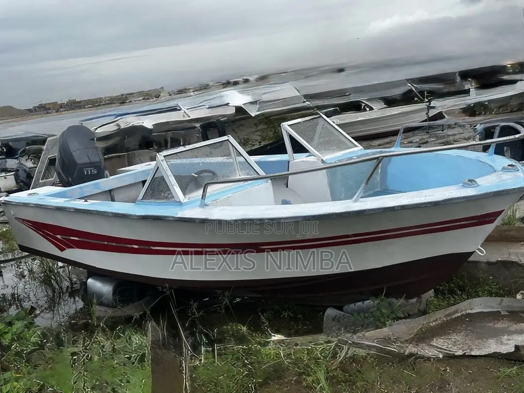 Bateau Plaisance Yamaha 115cv 4 Temps 9million500