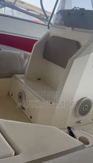 Bateau Plaisance Semi-Rigide 100cv Mercury 14million