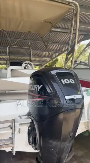 Bateau Plaisance Semi-Rigide 100cv Mercury 14million