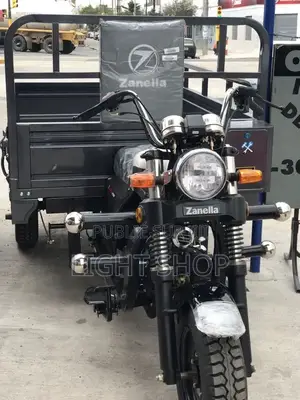 Nouveau Tricycle Autre 2023 Gris