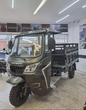 Nouveau Tricycle Autre 2023 Gris