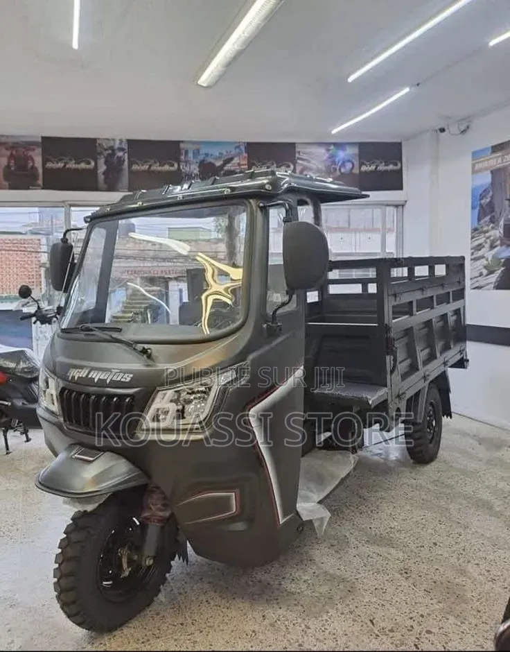 Nouveau Tricycle Autre 2023 Gris