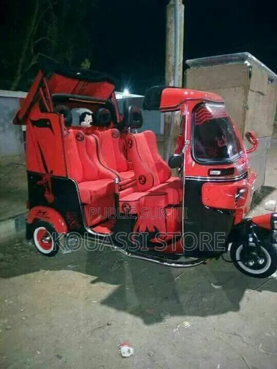 Nouveau Tricycle Autre 2023 Gris