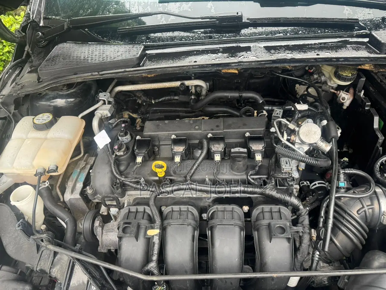 Ford Focus Titanium Sedan FWD (2.0L 4cyl 6A) 2017 Noir