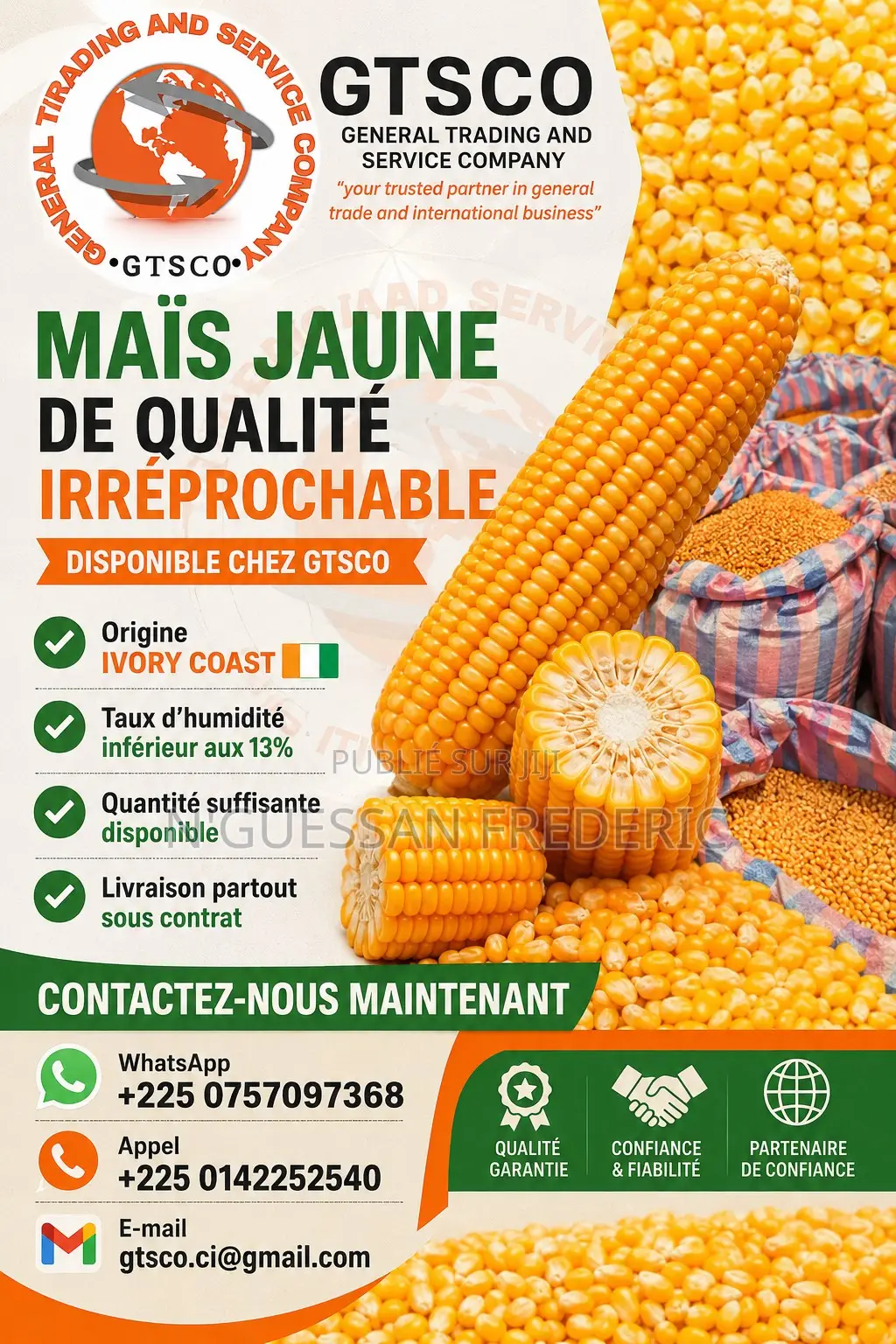 Maïs Jaune Bien Sec Faible Taux d'Humidité Disponible Chez Gtsco