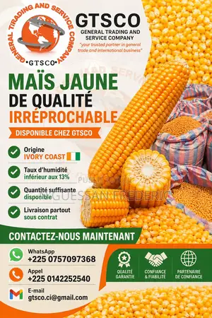 Maïs Jaune Bien Sec Faible Taux d'Humidité Disponible Chez Gtsco