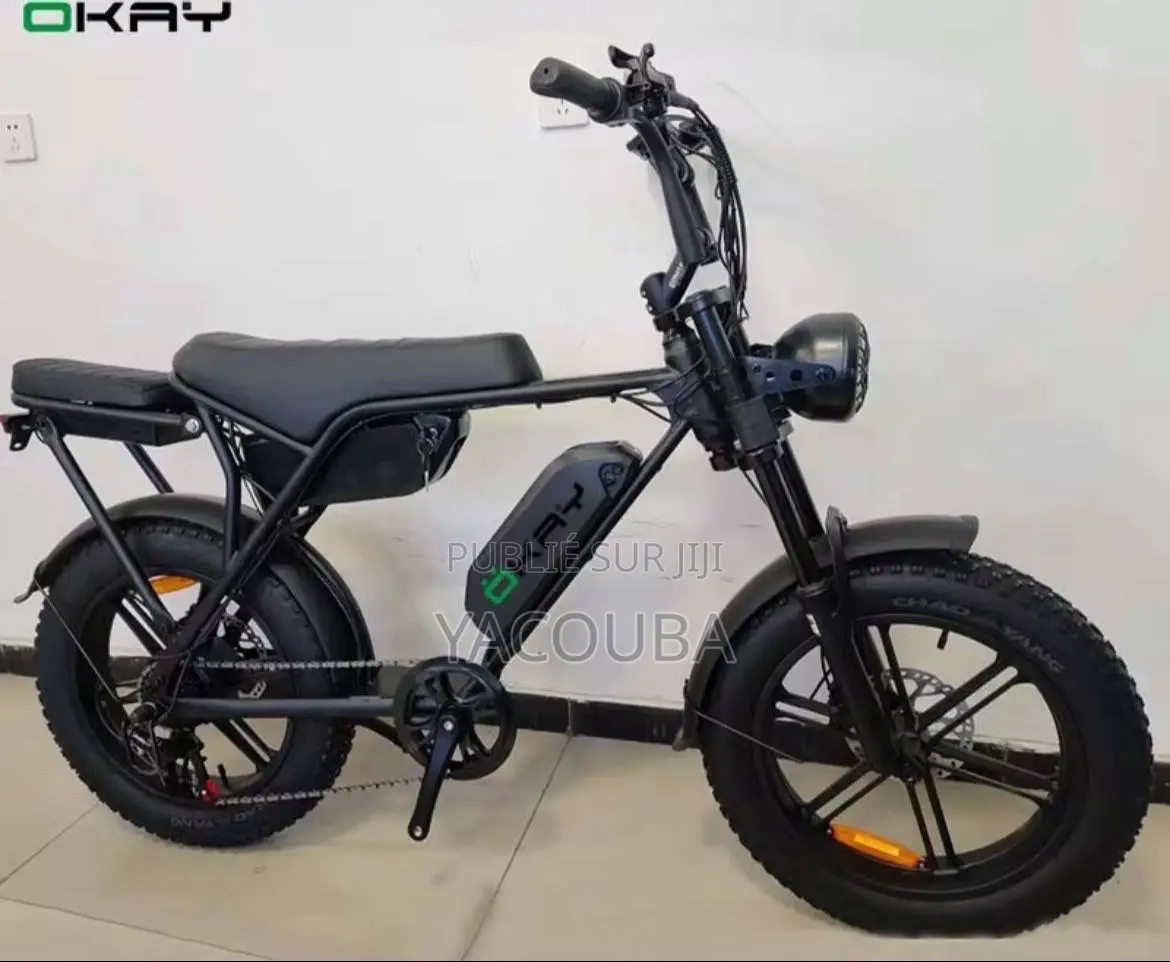 Vélo Électrique