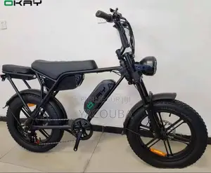Vélo Électrique