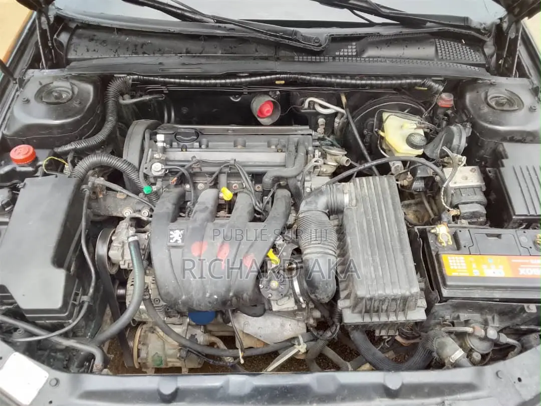 Peugeot 406 2002 Vert