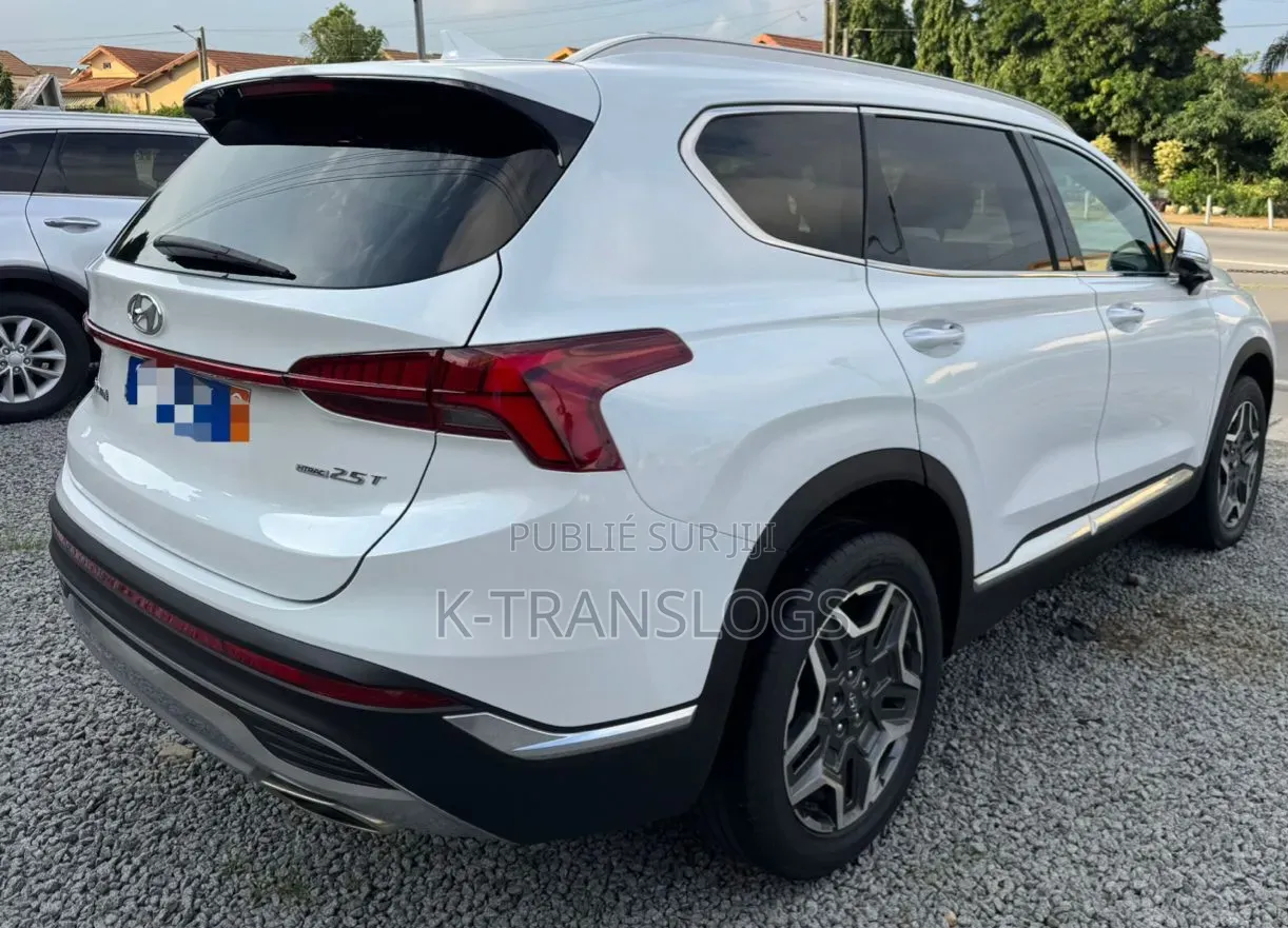 Hyundai Santa Fe 2022 Blanc