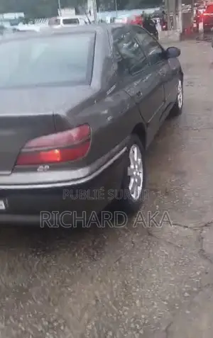 Peugeot 406 2002 Marron