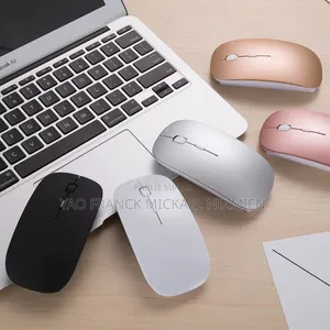 Souris Sans Fil Disponible 2 Semaine Autonomie