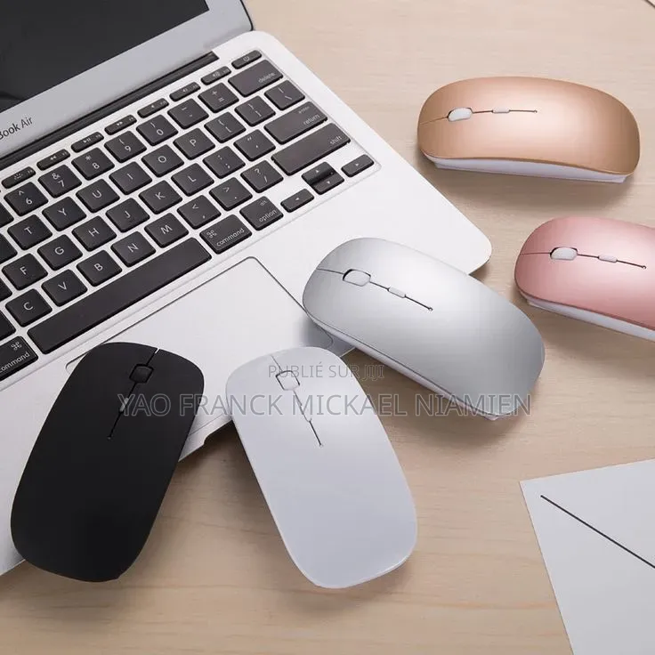 Souris Sans Fil Disponible 2 Semaine Autonomie