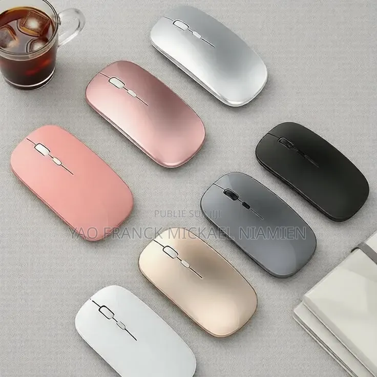 Souris Sans Fil Disponible 2 Semaine Autonomie