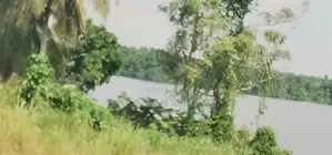 Assinie 4 Terrains De 700m2 En Bordure De Lagune Avec Document Acd