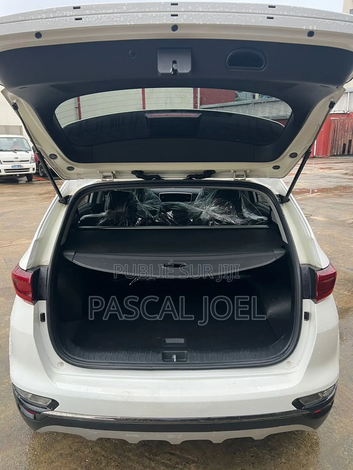 Kia Sportage EX 2022 Blanc