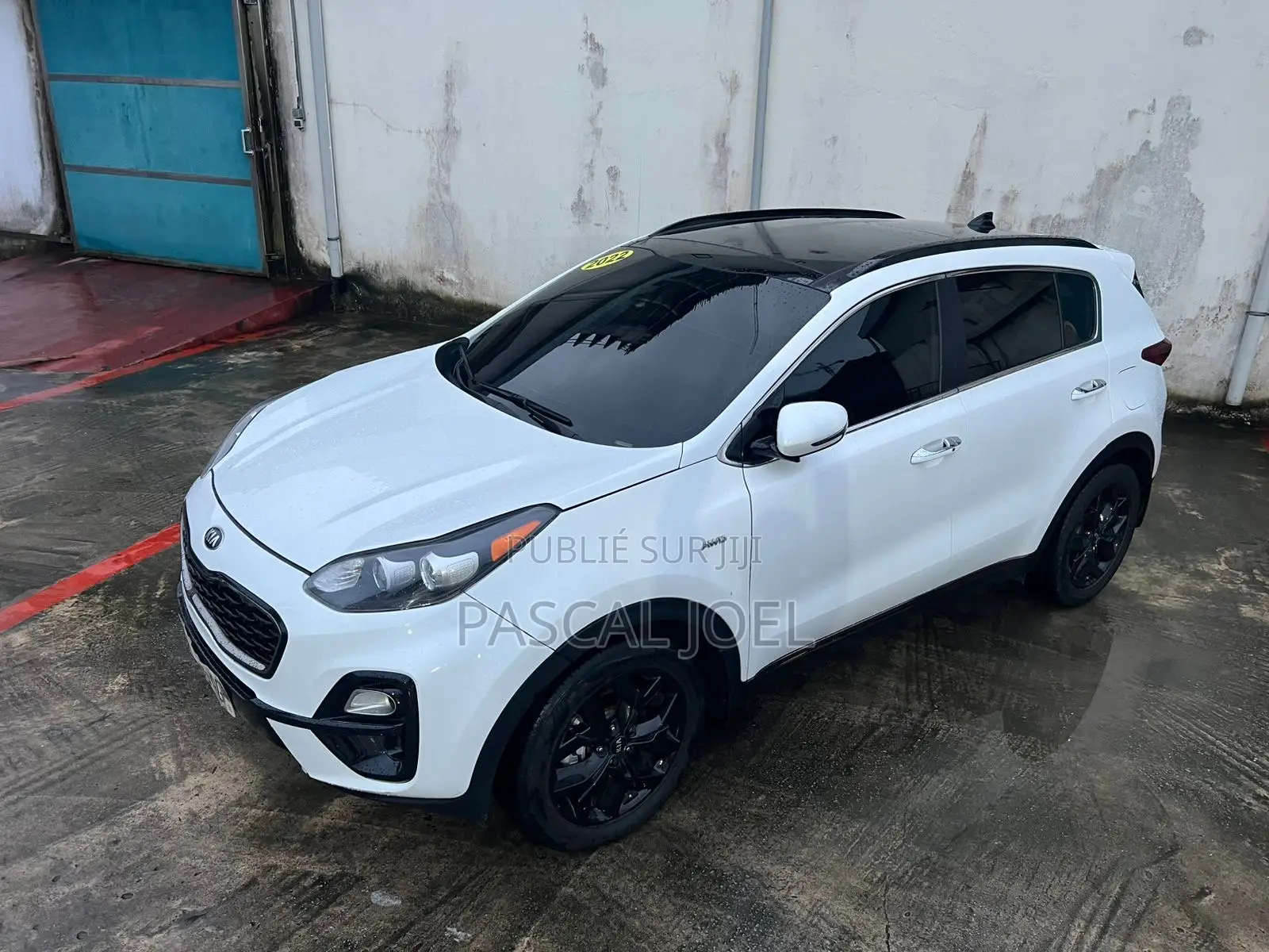 Kia Sportage EX 2022 Blanc