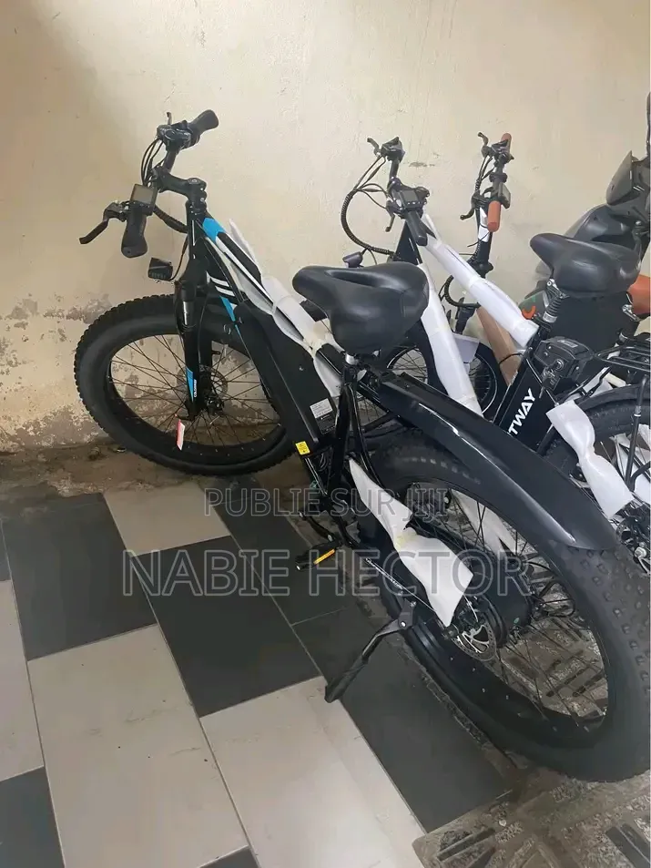 Vélo Électrique
