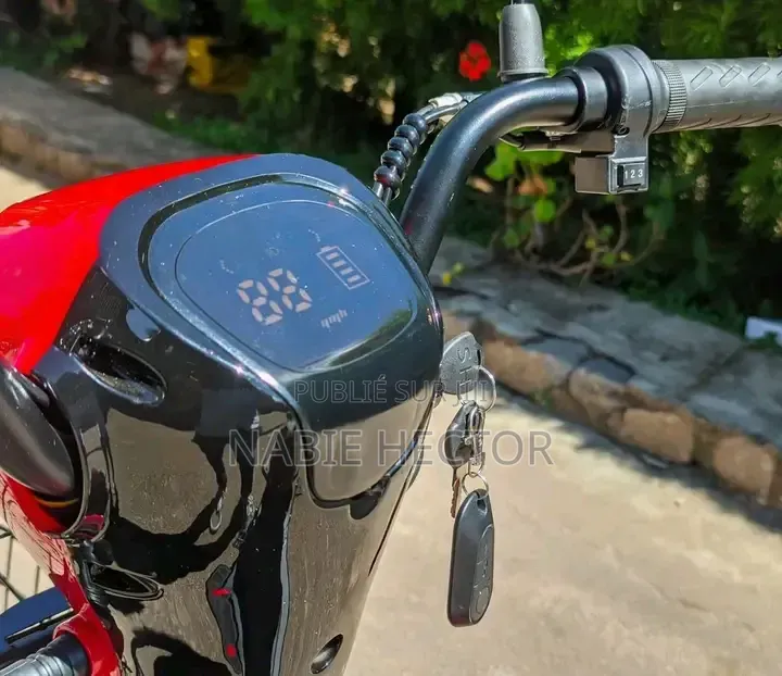 Vélo Électrique