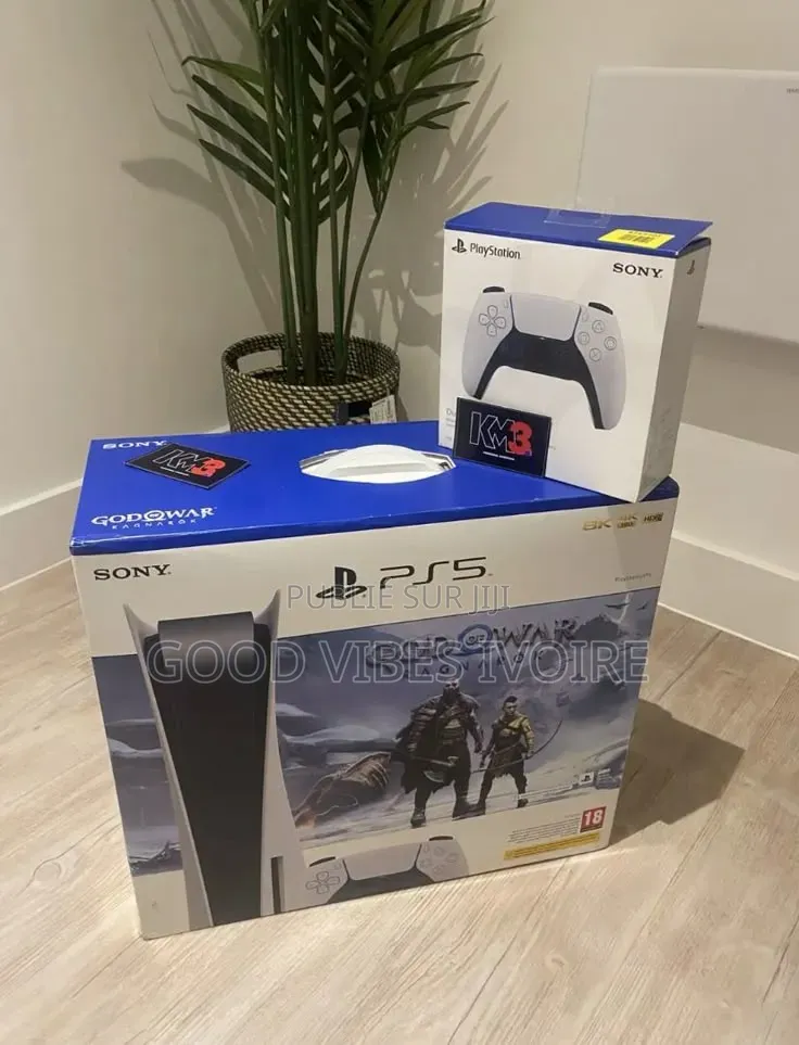 Playstation 5 Standard