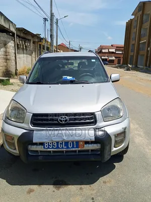 Toyota RAV4 2001 Gris